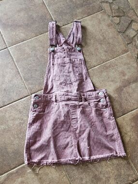 American Eagle Outfitters Dusty Rose Corduroy Overall Skirt